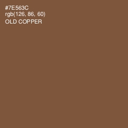 #7E563C - Old Copper Color Image